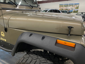 1990 Jeep Wrangler Sahara YJ Manual